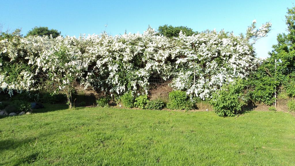 Ferienhaus Storchenweg Mahlzow Dış mekan fotoğraf